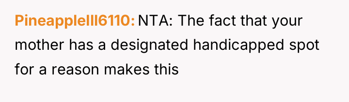 PineappleIll6110 NTA: The fact that your mother has a designated...