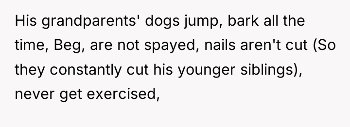His grandparents' dogs jump, bark all the time, Beg, are...