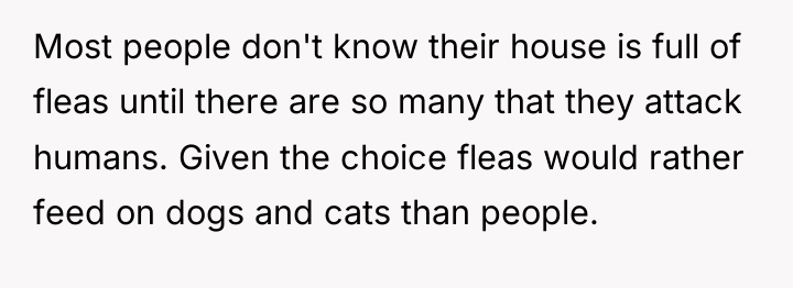 Most people don't know their house is full of fleas...