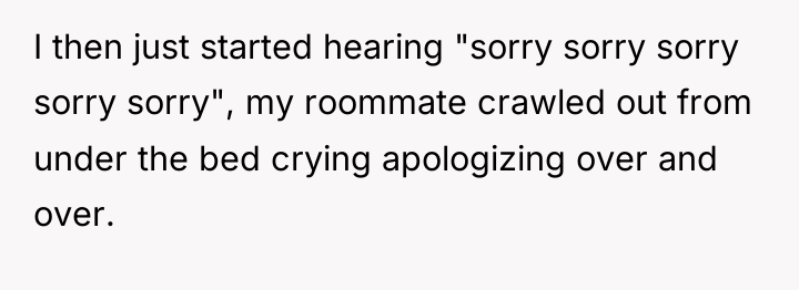 I then just started hearing "sorry sorry sorry sorry sorry",...