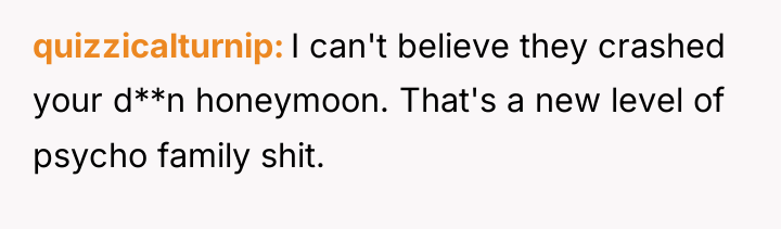 quizzicalturnip I can't believe they crashed your d**n honeymoon. That's...