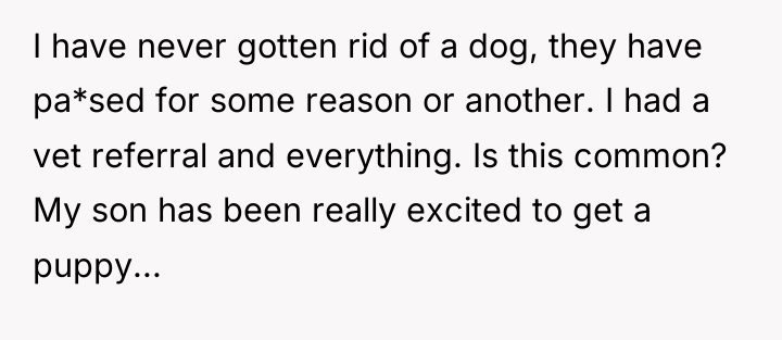 I have never gotten rid of a dog, they have...