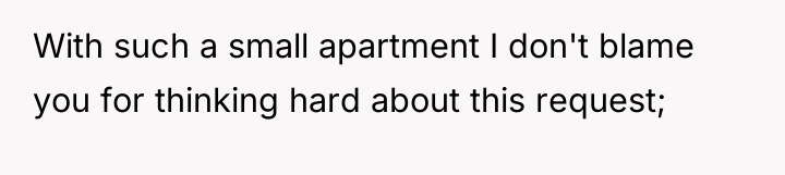 With such a small apartment I don't blame you for...