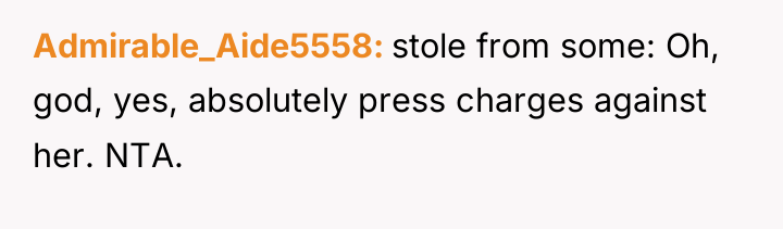 Admirable_Aide5558 stole from some: Oh, god, yes, absolutely press charges...
