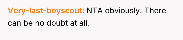 Very-last-boyscout NTA obviously. There can be no doubt at all,