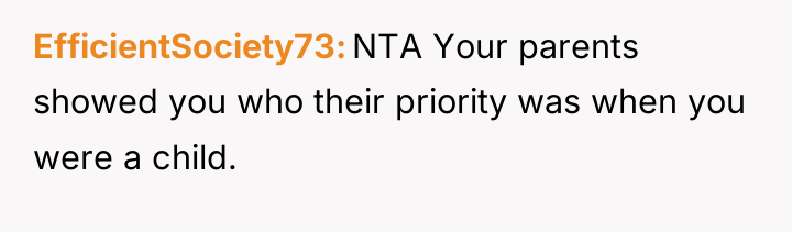 EfficientSociety73 NTA Your parents showed you who their priority was...