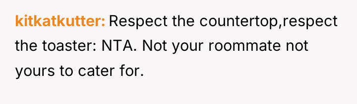 kitkatkutter Respect the countertop,respect the toaster: NTA. Not your roommate...