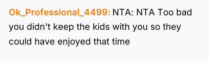 Ok_Professional_4499 NTA: NTA Too bad you didn't keep the kids...