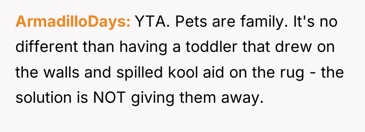 ArmadilloDays YTA. Pets are family. It's no different than having...