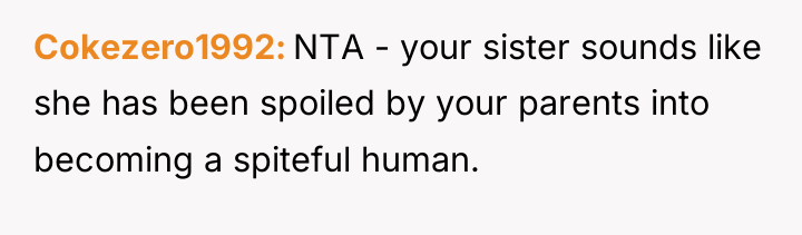 Cokezero1992 NTA - your sister sounds like she has been...