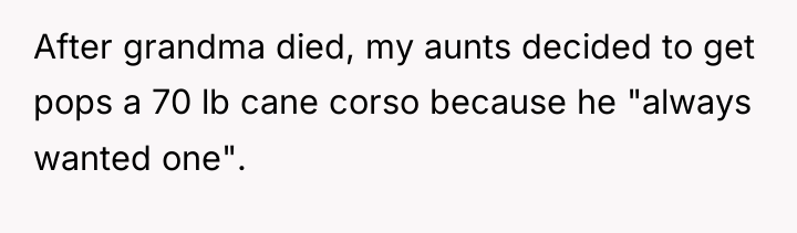 After grandma died, my aunts decided to get pops a...