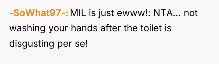 -SoWhat97- MIL is just ewww!: NTA... not washing your hands...