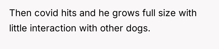 Then covid hits and he grows full size with little...