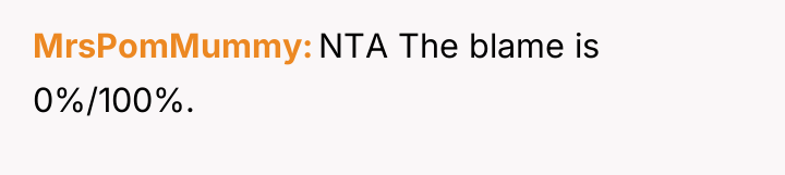 MrsPomMummy NTA The blame is 0%/100%.