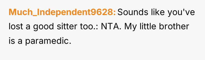 Much_Independent9628 Sounds like you've lost a good sitter too.: NTA....