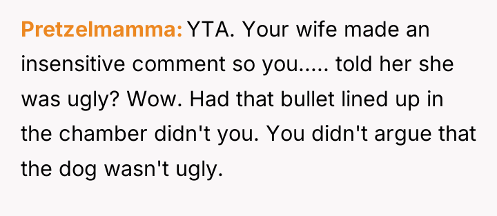 Pretzelmamma YTA. Your wife made an insensitive comment so you........
