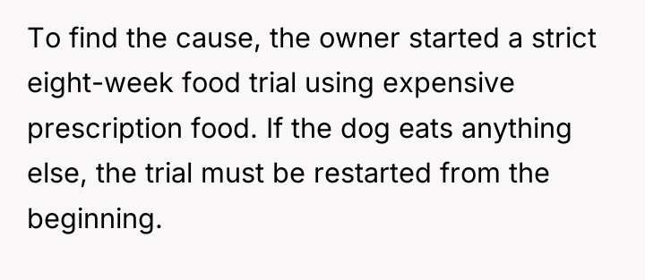 To find the cause, the owner started a strict eight-week...