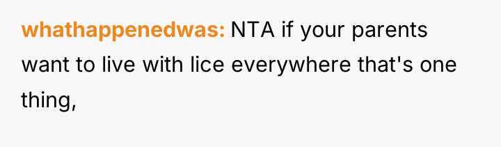 whathappenedwas NTA if your parents want to live with lice...