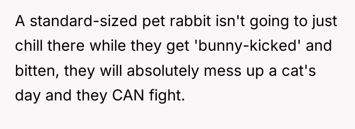 A standard-sized pet rabbit isn't going to just chill there...