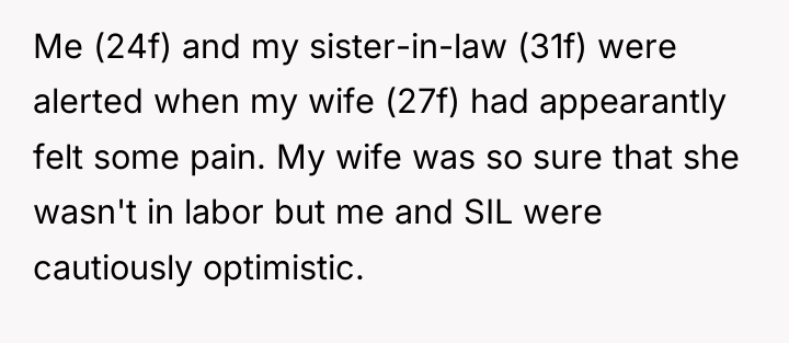 Me (24f) and my sister-in-law (31f) were alerted when my...