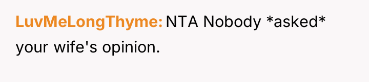 LuvMeLongThyme NTA Nobody *asked* your wife's opinion.