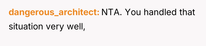 dangerous_architect NTA. You handled that situation very well,
