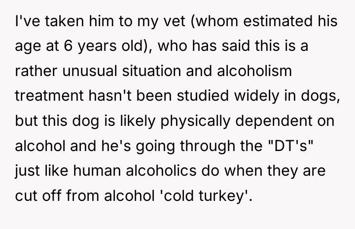 I've taken him to my vet (whom estimated his age...