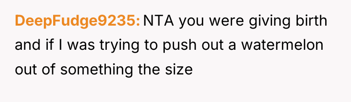 DeepFudge9235 NTA you were giving birth and if I was...