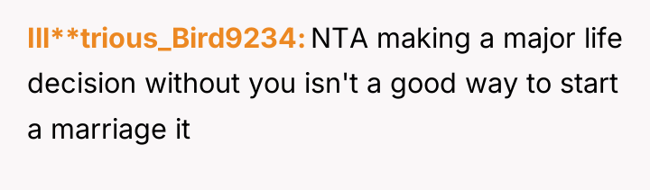 Ill**trious_Bird9234 NTA making a major life decision without you isn't...