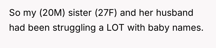 So my (20M) sister (27F) and her husband had been...