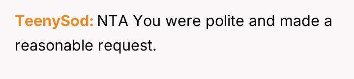 TeenySod NTA You were polite and made a reasonable request.