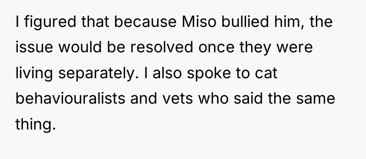 I figured that because Miso bullied him, the issue would...