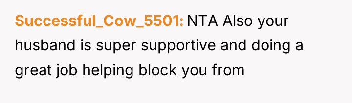 Successful_Cow_5501 NTA Also your husband is super supportive and doing...