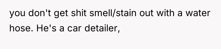 you don't get shit smell/stain out with a water hose....