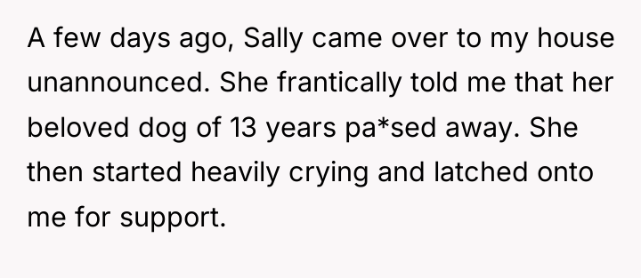 A few days ago, Sally came over to my house...