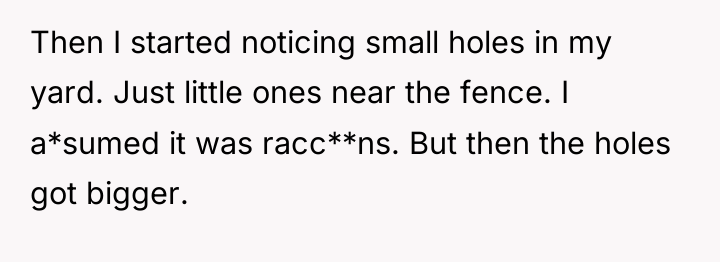 Then I started noticing small holes in my yard. Just...