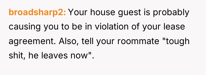broadsharp2 Your house guest is probably causing you to be...