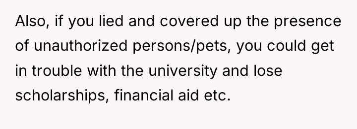 Also, if you lied and covered up the presence of...