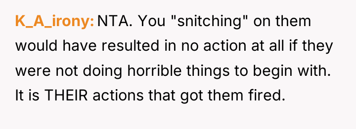 K_A_irony NTA. You "snitching" on them would have resulted in...