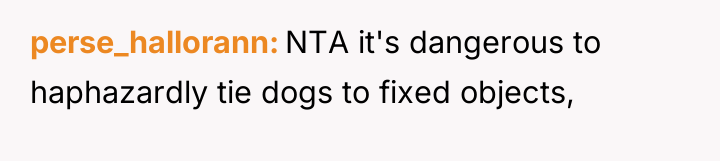 perse_hallorann NTA it's dangerous to haphazardly tie dogs to fixed...