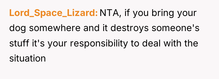 Lord_Space_Lizard NTA, if you bring your dog somewhere and it...