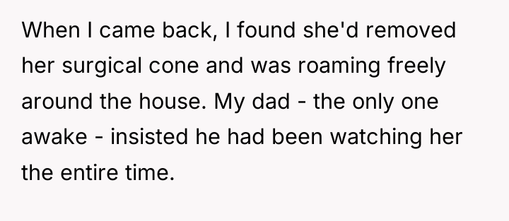 When I came back, I found she'd removed her surgical...