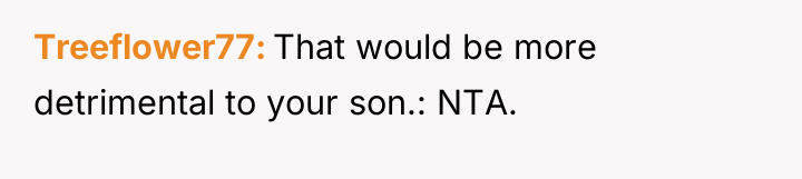 Treeflower77 That would be more detrimental to your son.: NTA.