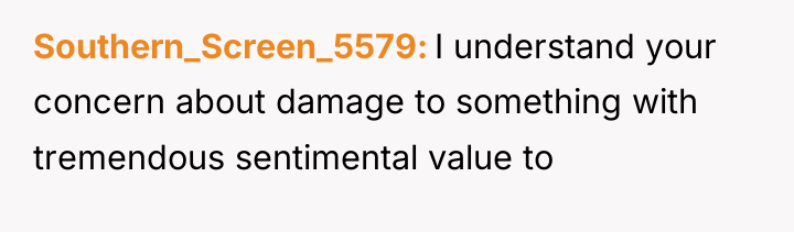 Southern_Screen_5579 I understand your concern about damage to something with...