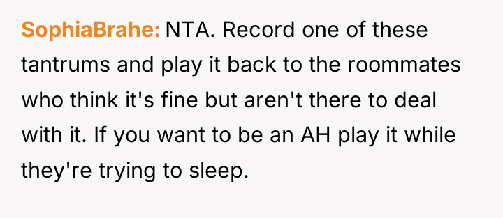 SophiaBrahe NTA. Record one of these tantrums and play it...
