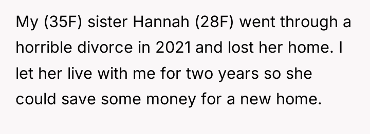 My (35F) sister Hannah (28F) went through a horrible divorce...