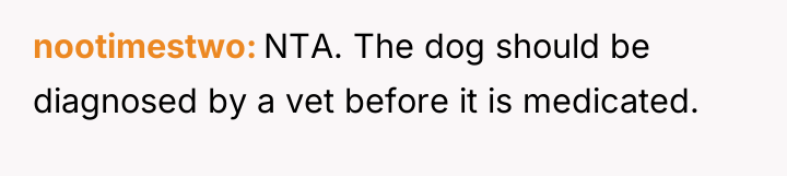 nootimestwo NTA. The dog should be diagnosed by a vet...