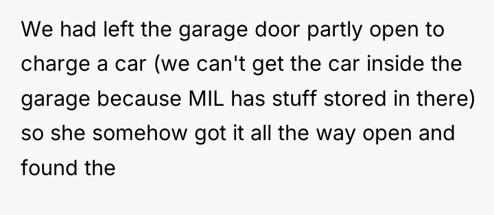 We had left the garage door partly open to charge...