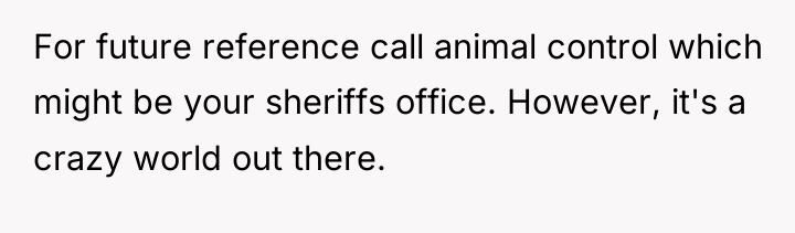 For future reference call animal control which might be your...