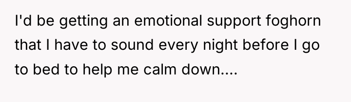 I'd be getting an emotional support foghorn that I have...